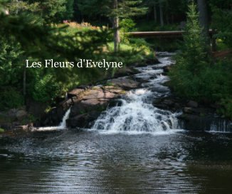 Les Fleurs d'Evelyne book cover