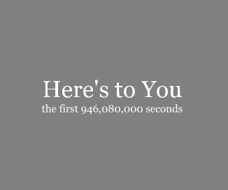 Here's to You the first 946,080,000 seconds book cover