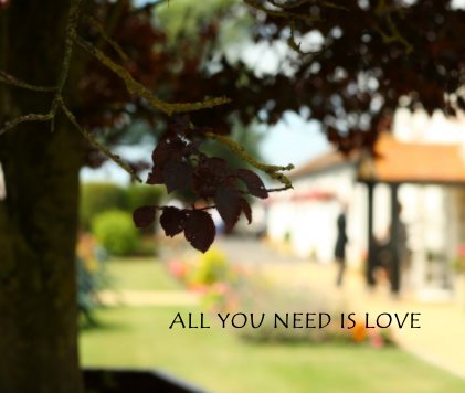 ALL YOU NEED IS LOVE book cover