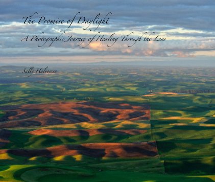 The Promise of Daylight A Photographic Journey of Healing Through the Lens book cover