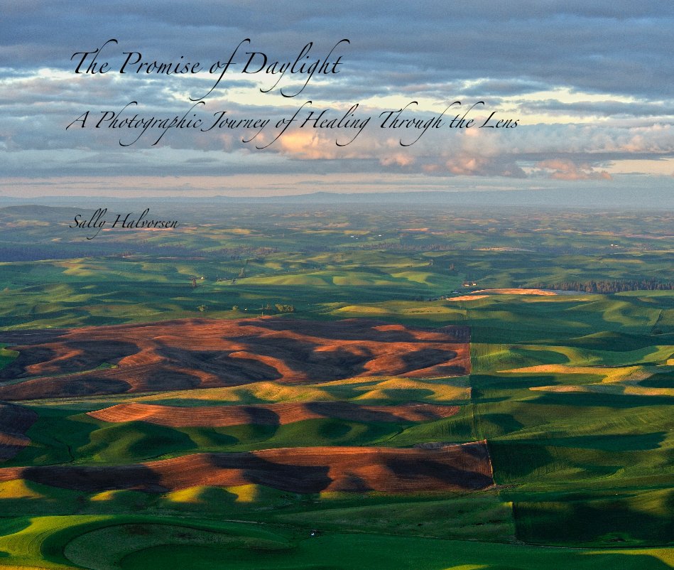 Ver The Promise of Daylight A Photographic Journey of Healing Through the Lens por Sally Halvorsen