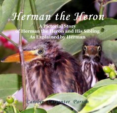 Herman The Heron book cover