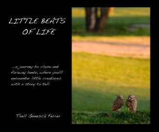 LITTLE BEATS OF LIFE book cover