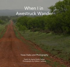 When I in Awestruck Wander book cover