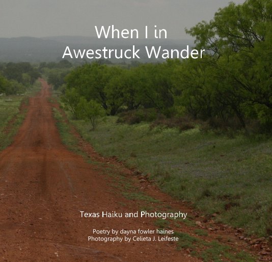 View When I in Awestruck Wander by Poetry by dayna fowler haines Photography by Celieta J. Leifeste