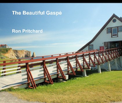 The Beautiful Gaspe book cover