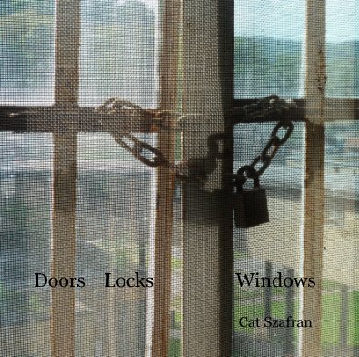 Doors Locks Windows book cover