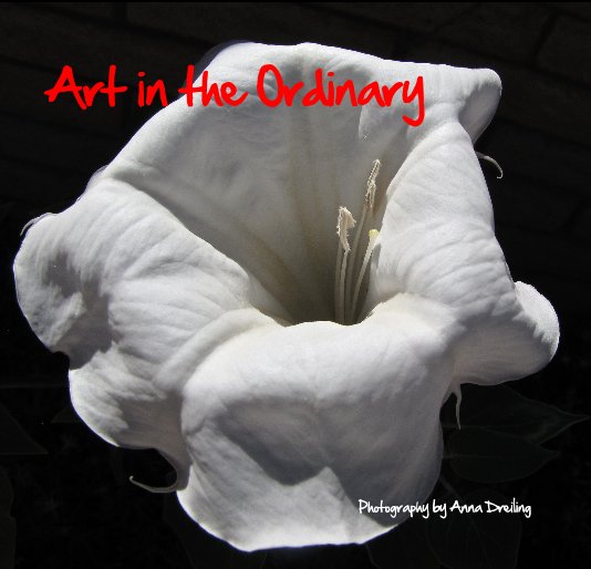 View Art in the Ordinary by Anna Dreiling
