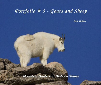 Portfolio # 5 - Goats and Sheep book cover