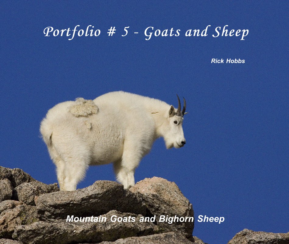 View Portfolio # 5 - Goats and Sheep by Rick Hobbs