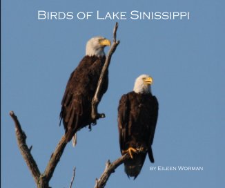 Birds of Lake Sinissippi book cover