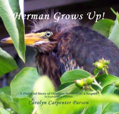Herman Grows Up! book cover