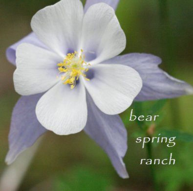 bear spring ranch book cover