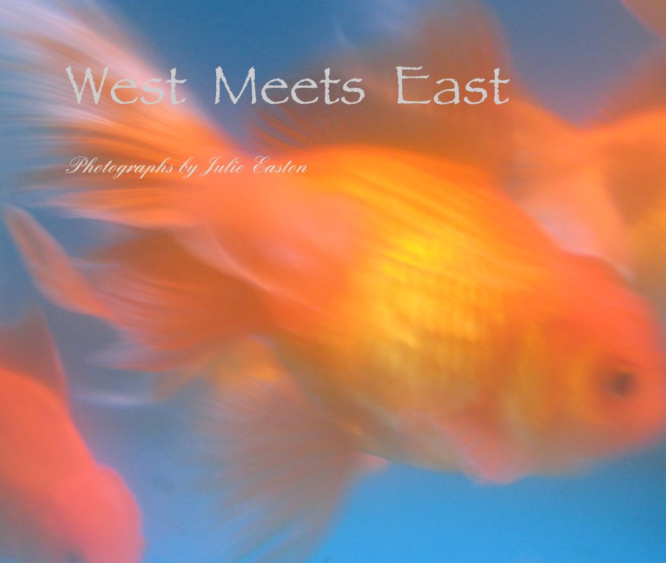 Ver West Meets East por Photographs by Julie Easton