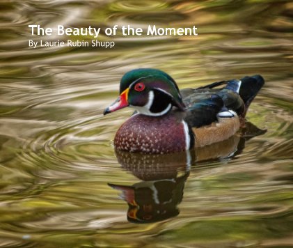 The Beauty of the Moment book cover