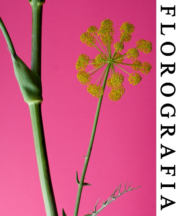 Ver Florografia por Pedro Ramos Ferreiro