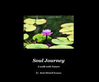 Soul Journey book cover