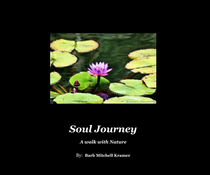 View Soul Journey by By: Barb Mitchell Kramer