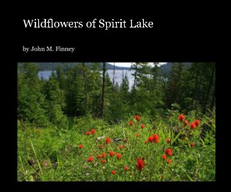Wildflowers of Spirit Lake book cover