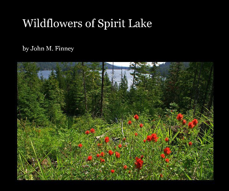 View Wildflowers of Spirit Lake by John M. Finney