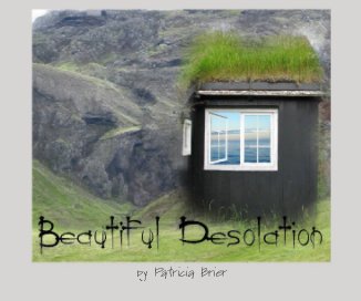 Beautiful Desolation book cover