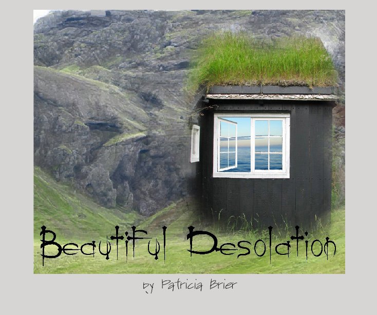 View Beautiful Desolation by Patricia Brier