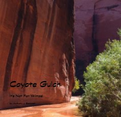 Coyote Gulch book cover