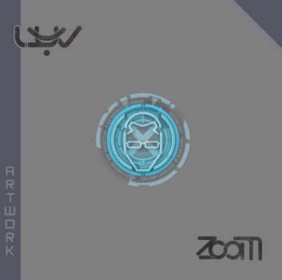 ZOOM book cover