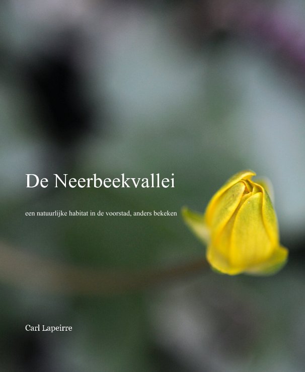 Ver De Neerbeekvallei por Carl Lapeirre