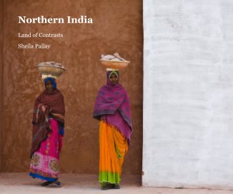 Northern India book cover