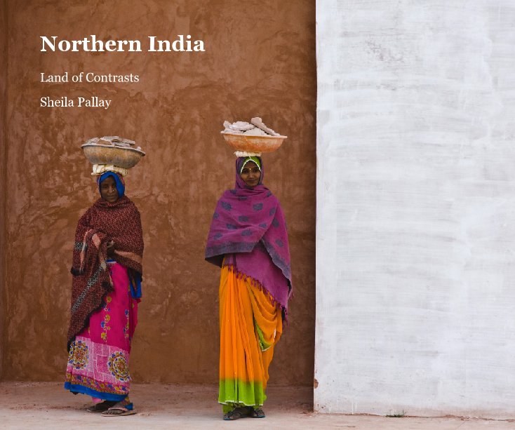 View Northern India by Sheila Pallay
