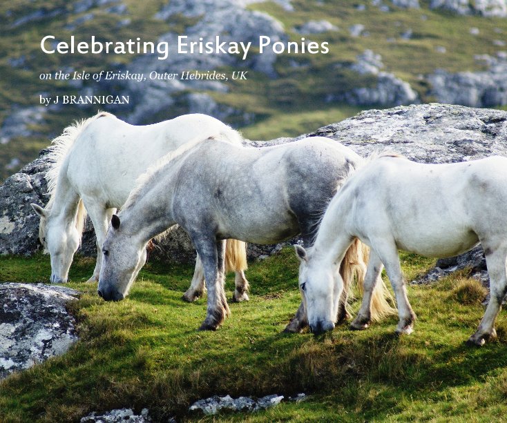 View Celebrating Eriskay Ponies by J BRANNIGAN