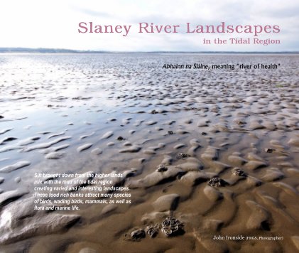 Slaney River Landscapes in the Tidal Region book cover