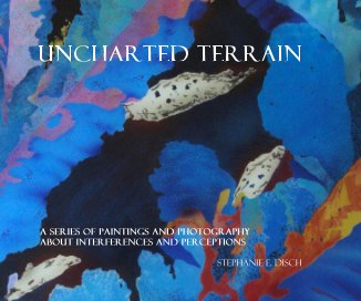 Uncharted Terrain A Series of paintings And Photography about interferences and perceptions STEPHANIE e. dISCH book cover