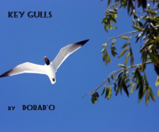 Key Gulls By DORAD'O book cover