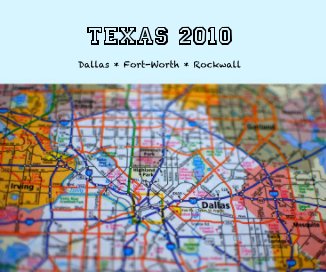 Texas 2010 book cover