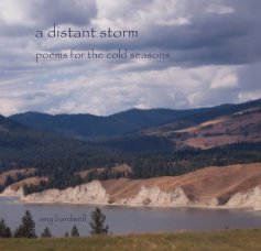 a distant storm book cover