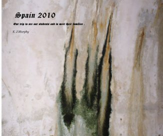 Spain 2010 book cover
