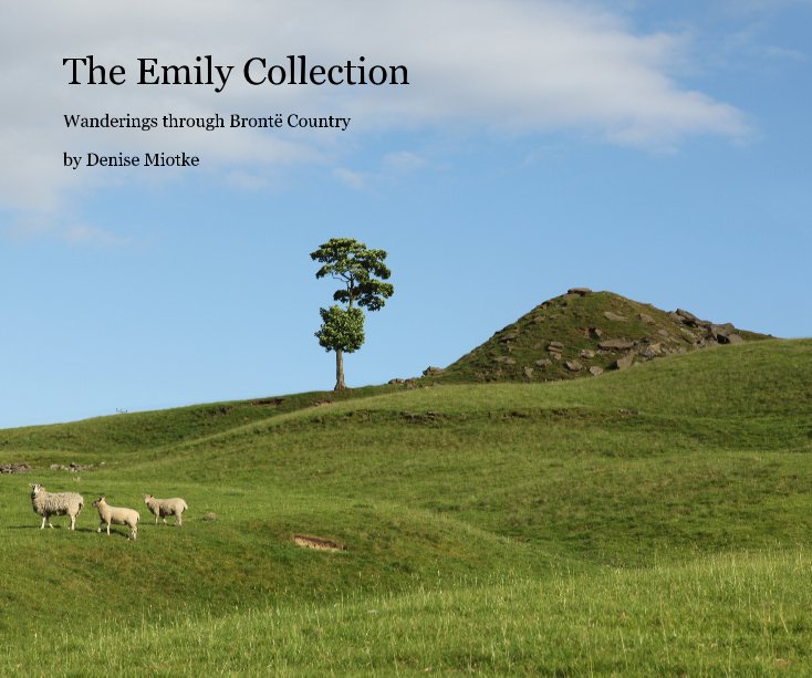 Bekijk The Emily Collection op Denise Miotke