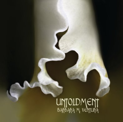 Unfoldment book cover