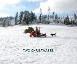 TWO CHRISTMASES book cover