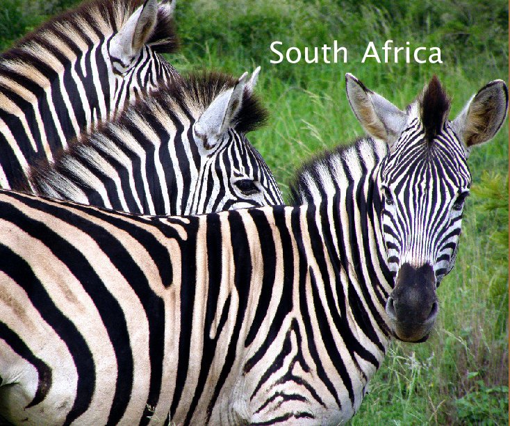 Visualizza South Africa di andipics