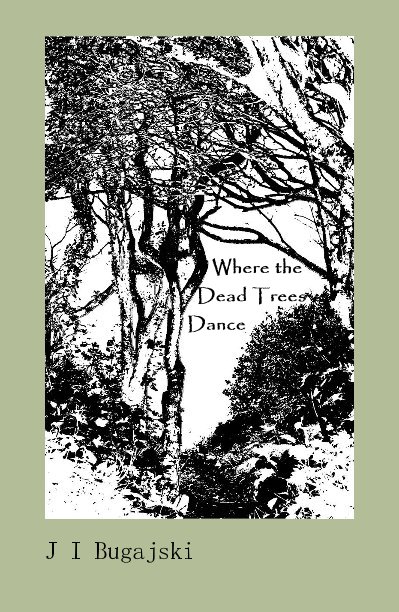View Where the Dead Trees Dance by J I Bugajski