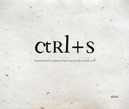 ctrl+S book cover