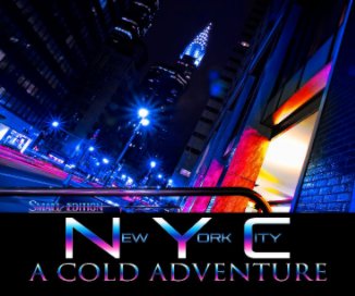 NEW YORK COLD ADVENTURE book cover
