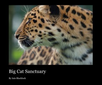 Big Cat Sanctuary book cover