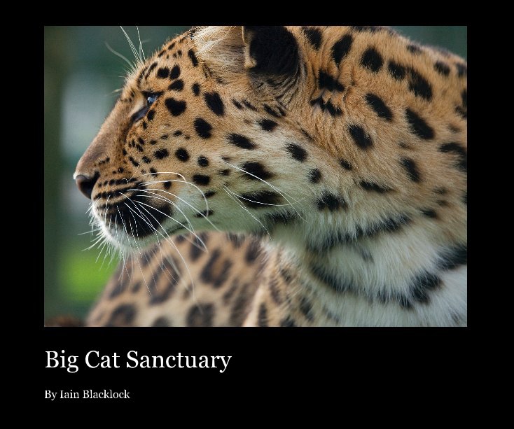 View Big Cat Sanctuary by Iain Blacklock