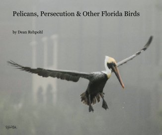 Pelicans, Persecution & Other Florida Birds book cover