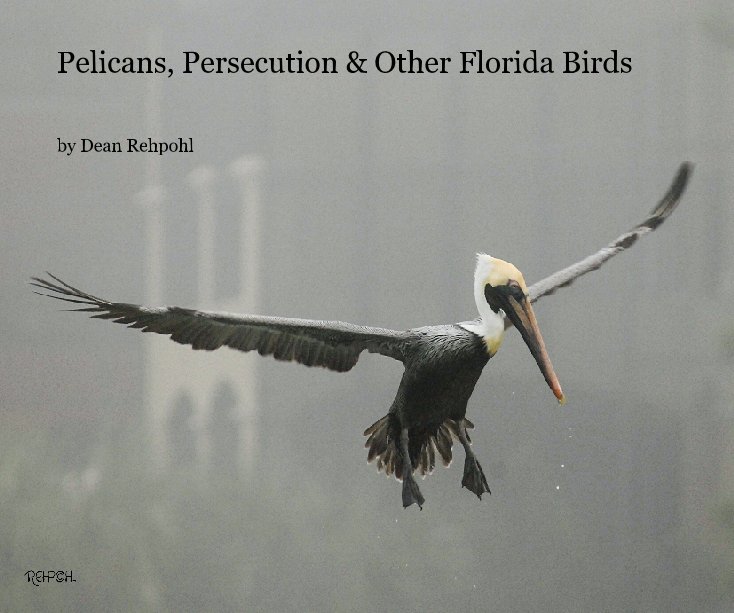 Bekijk Pelicans, Persecution & Other Florida Birds op Dean Rehpohl