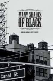 MANY SHADES OF BLACK VOL. 2 book cover